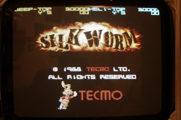 Silk Worm
