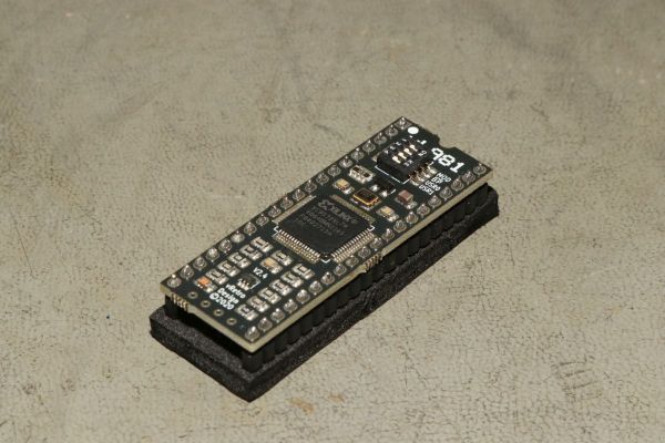 ZX-81
