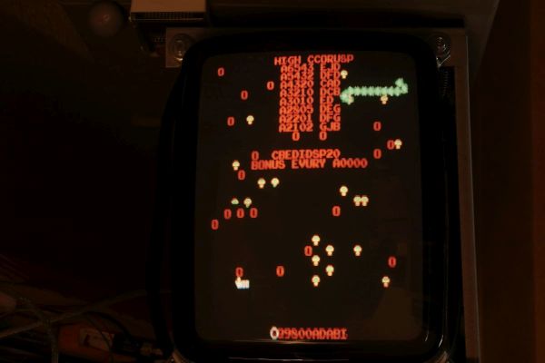 Centipede