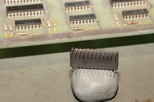 Centipede